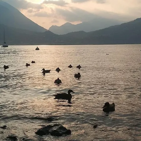 Le Di Giulia Lejlighed Abbadia Lariana