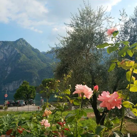 Le Di Giulia Lejlighed *