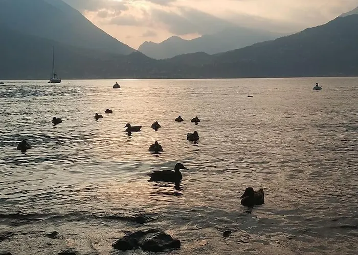 Le Di Giulia Apartman Abbadia Lariana