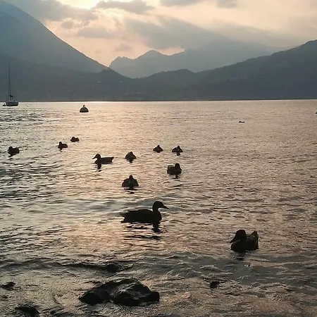 Le Di Giulia Appartamento Abbadia Lariana