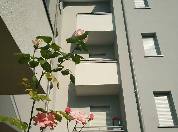 Apartment Le Di Giulia